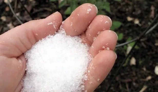 #懂得#七水硫酸镁用来养花好处多多，可懂得用的人并不多