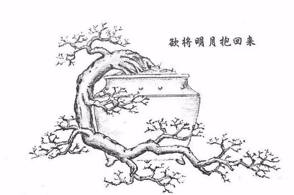  「难度」喜欢悬崖式，就是造型有难度？其实只因为心中没图，这里参考有数
