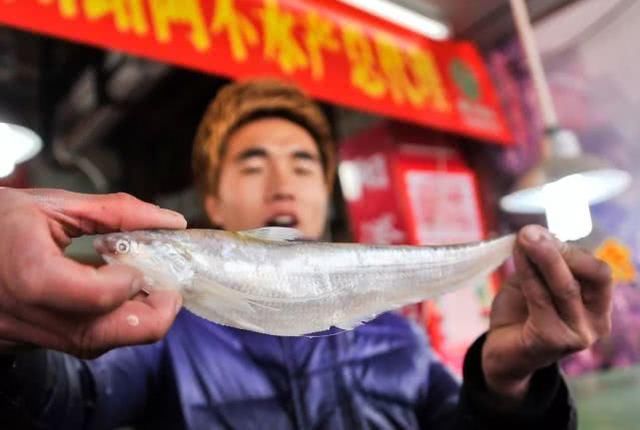  农业农村部|长江还能被治愈吗？