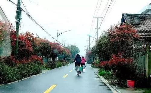  「究竟」农村很多人花钱到公路边建房，却不进城买房落户，究竟是为什么？