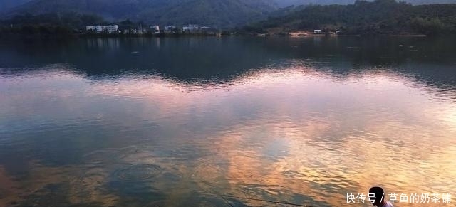  『钓点』秋季垂钓“鲤鱼”无处入手？找找这四个钓点，不到一分钟黑漂上鱼