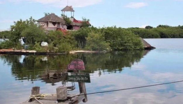 英国大叔用空瓶子建小岛，有房有树还有无线网，生活无比惬意