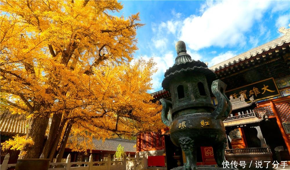  #更鼓#社会消费大比拼北上广深高居前四，重庆成都天津谁的钱包