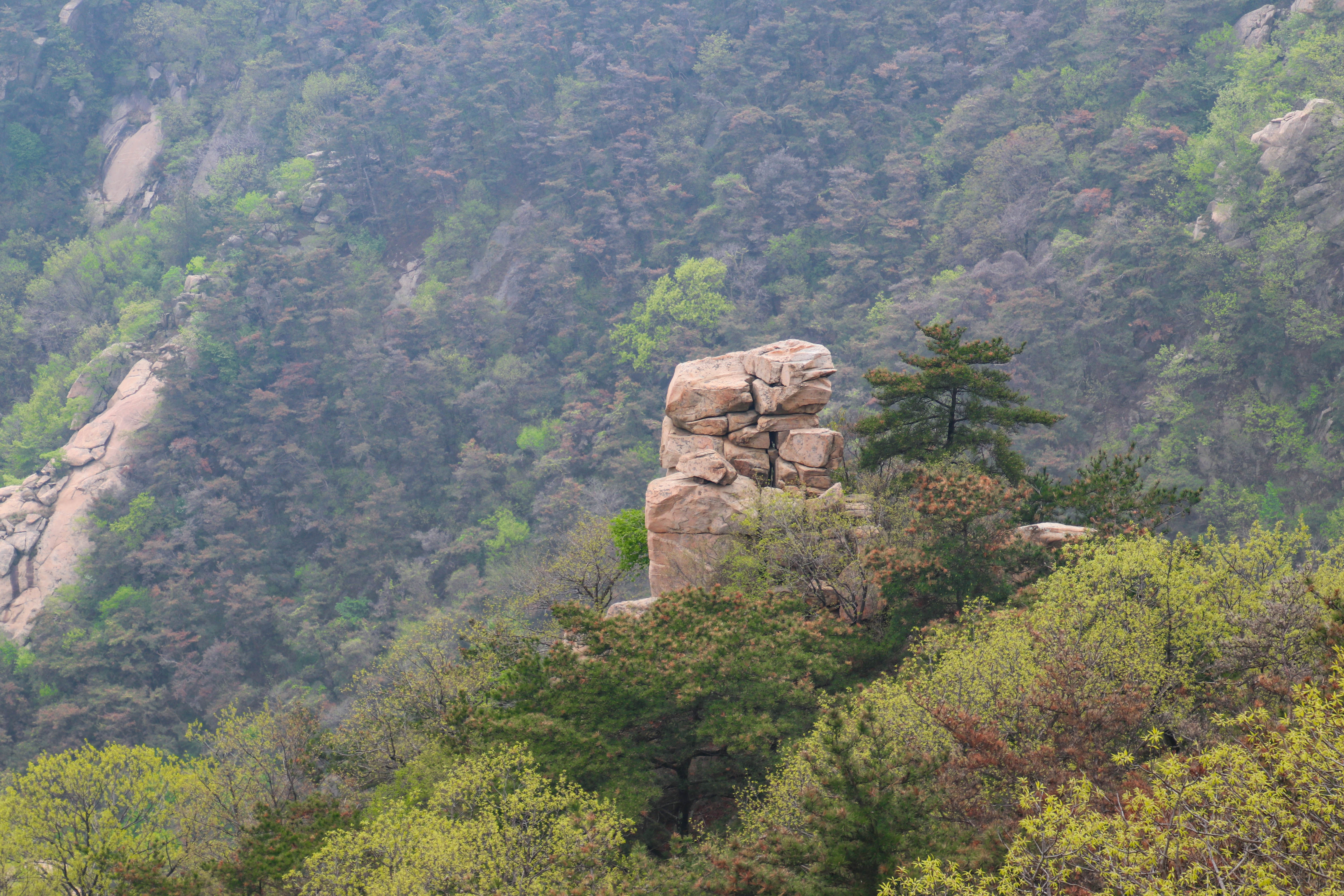 来沂蒙山，我“养”你啊