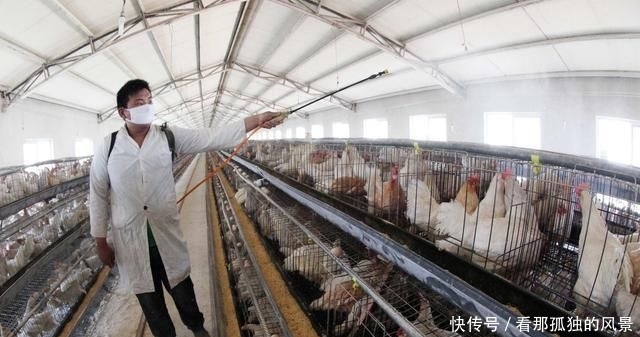  #养殖场#要想在农村安心创建养殖场，这三个证件一个都不能少