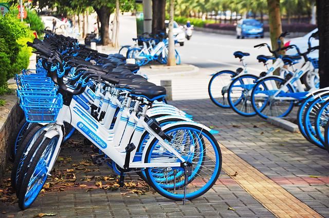 哈罗员工剪断几十辆青桔单车车锁,官方回应称多名涉事人员已离职