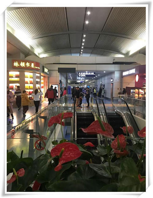 2017海南之行——浪吻白沙醉三亚