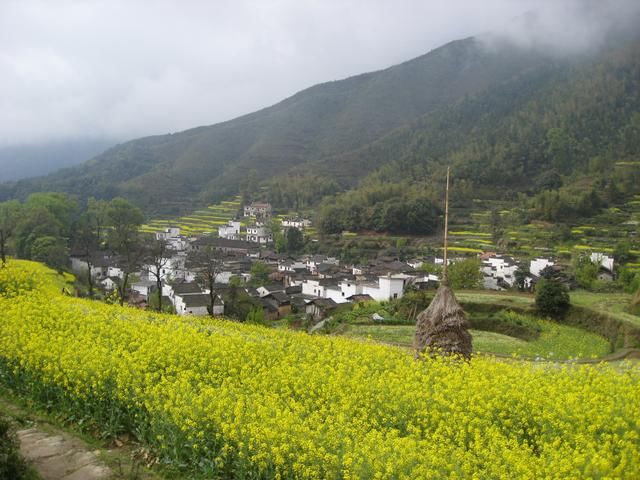 继返乡潮后，农村再出4大“怪象”，专家不理解，老农却道出原因