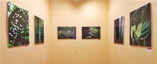 钱捍:摄影赛道奔跑40年 为三门峡摄影大展带来“绿色之风”