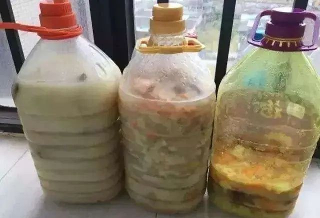  水果■在阳台上用空油瓶种菜种水果，一种几十盆，不花钱，好吃不用买