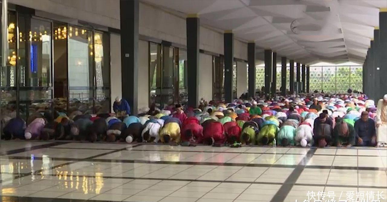 我只是买猪肉的