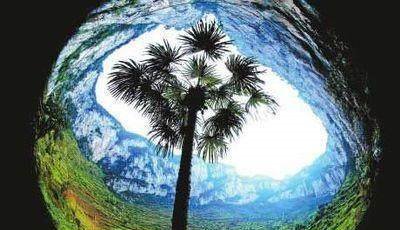 云南有一种叫做“天坑”，坑里村子与世隔绝，多数村民没出去过