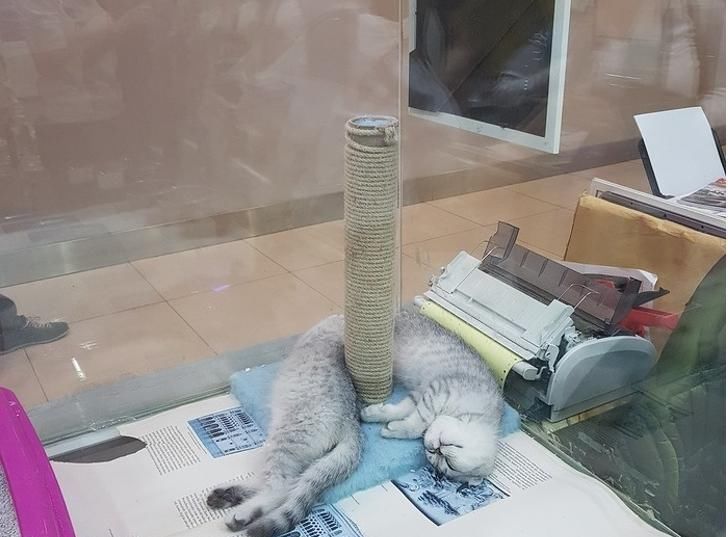  『偶然』惊喜就是这么的猝不及防，13张偶然拍的巧合照片，忍不住多看几眼