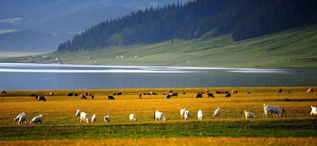 这条用时5天的自驾路线，你能从夏末一直看到初秋