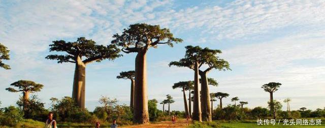 气候类型的分布有规律吗这种气候竟在亚洲、非洲、南极洲都没有