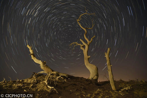 新疆塔里木盆地：星光下的千年胡杨林