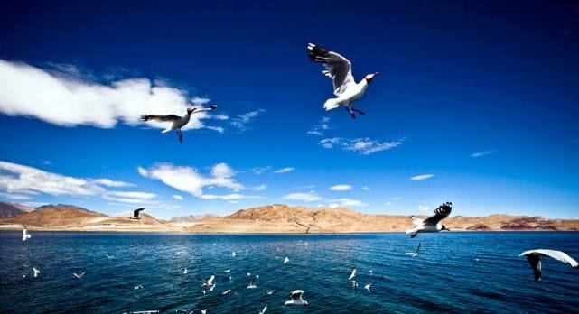 这个湖太偏心，在印度是不毛之地，在中国却是鱼虾肥美鸟语花香