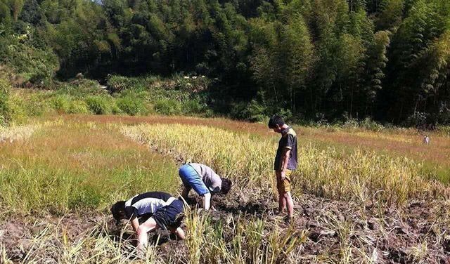 再过5年城里买房买车的农村人就会懊悔，因为3样才保值