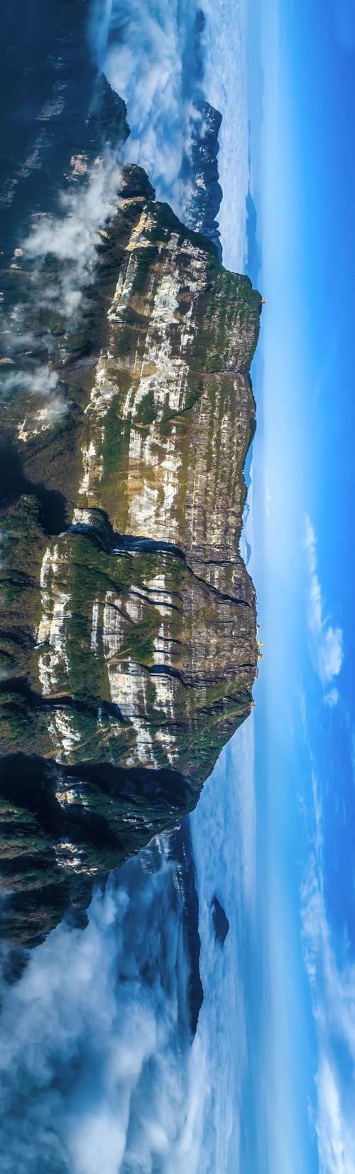 大熊猫国家公园 究竟长什么样?