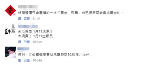 [蔡英文]蔡英文称绿能可变黄金 遭业者讽是掺着2350万人的血汗黄