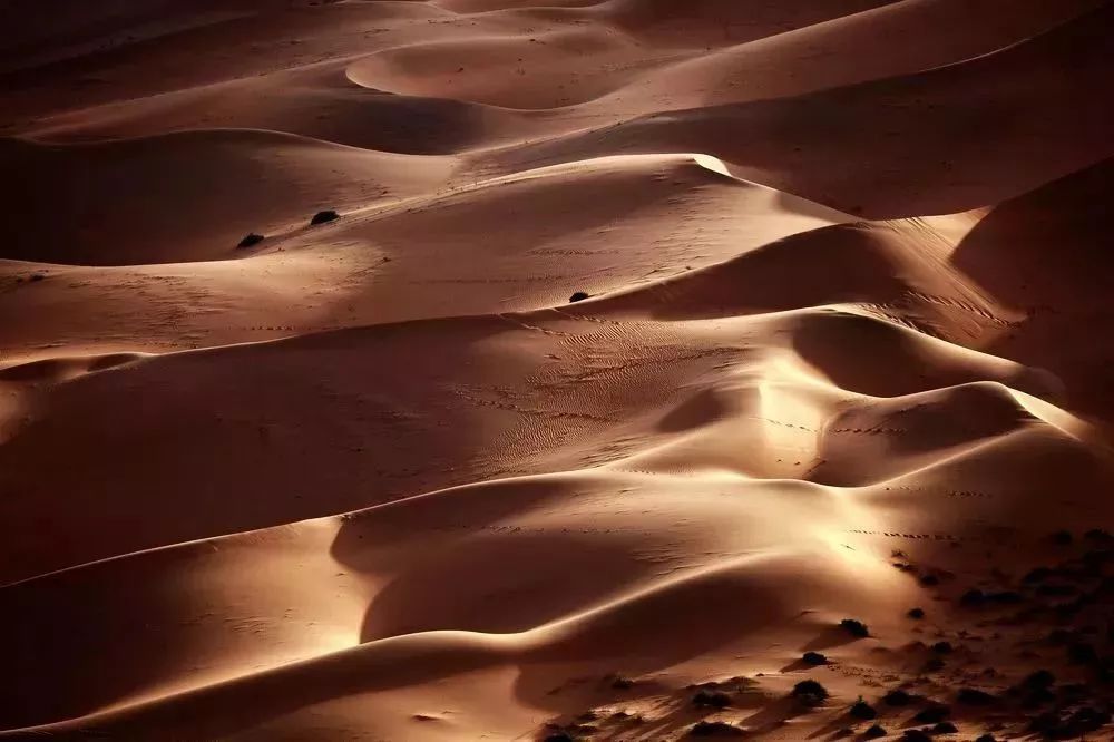 【新疆是个好地方】每一处都值得期 细数最美新疆12景