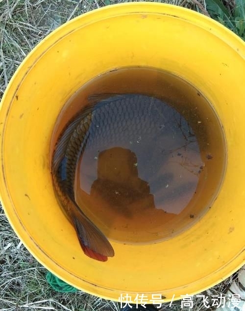  『钓鱼人』不离不弃！我是钓鱼人