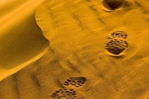 中国耗时30年将沙漠变绿洲，如今被他们“毁了”，治沙人心寒