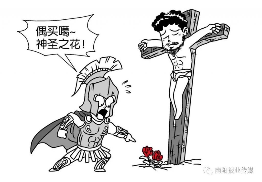  【玫瑰】哪有什么玫瑰？长哩美的都是月季！