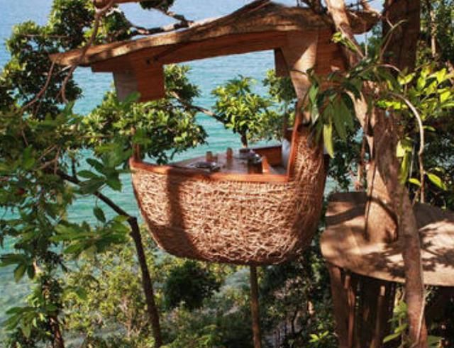 泰国这一“奇葩”餐厅，挂在树上似鸟巢，服务员还要坐索道