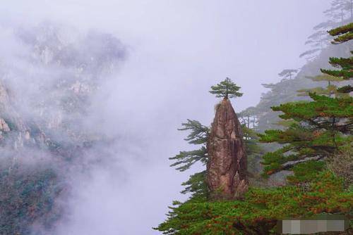 黄山，每一个地点都是一幅优美的山水画