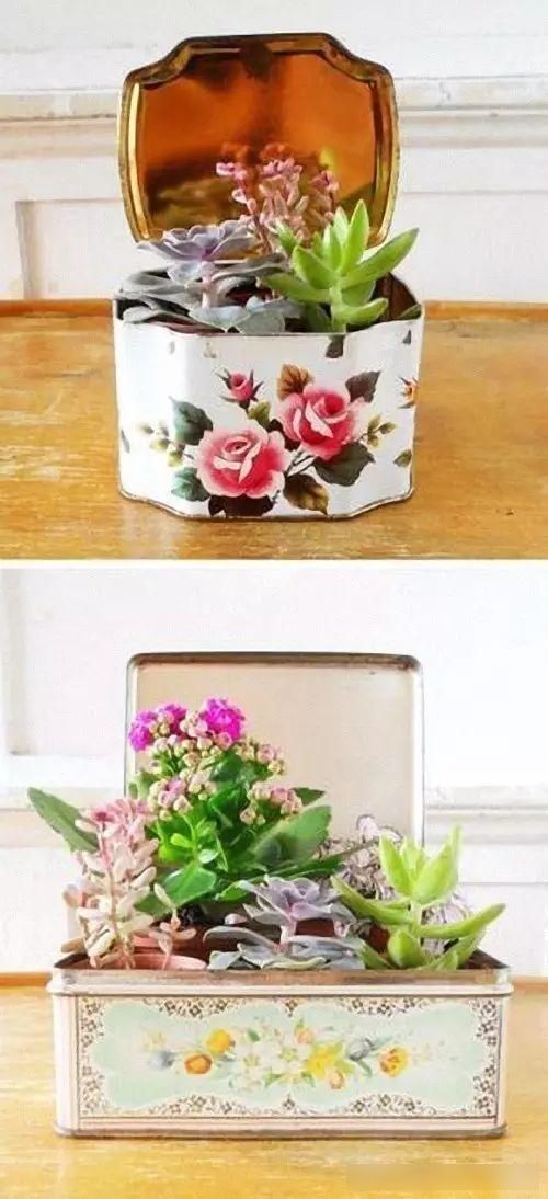  『茶叶罐』茶叶罐、奶粉罐都别扔，还买什么花盆？她没花一分钱，让人羡慕