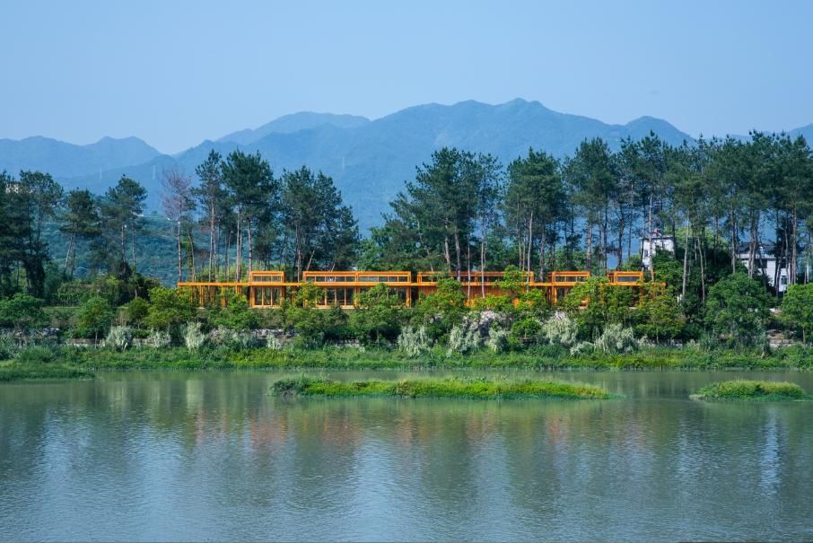  「表白」茶香松阳| 此刻，只想收下这份乡愁，表白这条长河