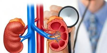 肌酐、尿素氮、肌酐清除率,肾内科医生教你一