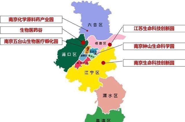  『长三角』高层定调！南京，腾飞在即！