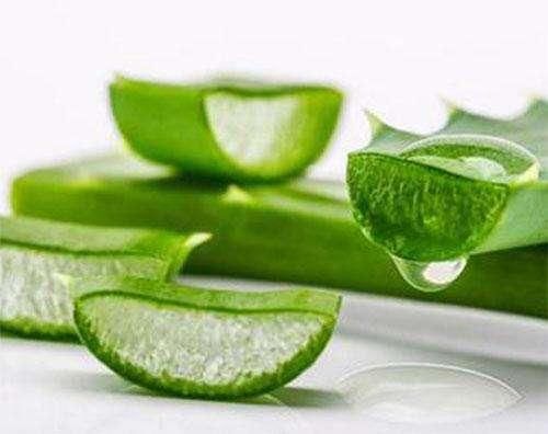 毛孔粗大冒油，还挤出小颗粒，别大意，多半是螨虫死死的堵毛孔里