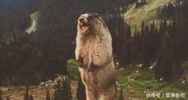 台风天要带多少钱出门?