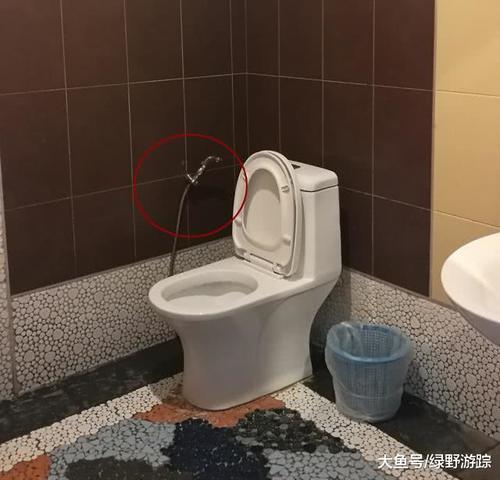 去泰国旅游时，酒店厕所旁的软管有什么用处导游女游客脸红了