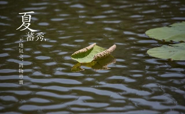 农村俗语“过了夏至节,夫妻各自歇”,你有听过吗夏至有多重要！