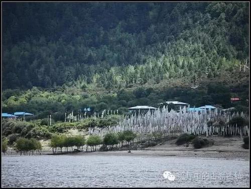 雪域西藏-林芝尼洋河景区