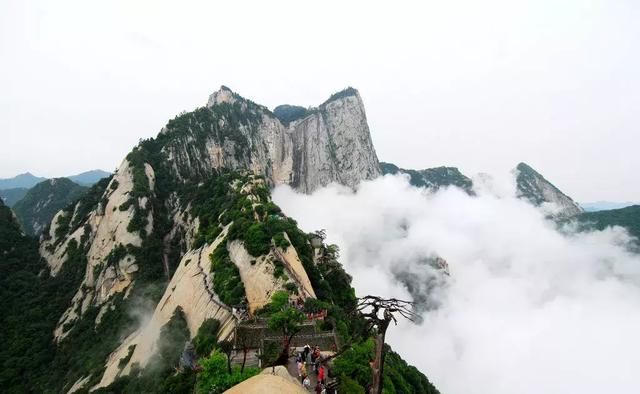 登高揽胜 云海情长