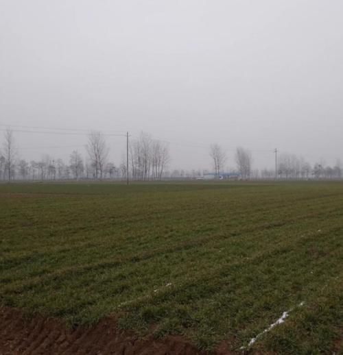  [2024年]五年后“农村”最缺的会是什么？为什么？