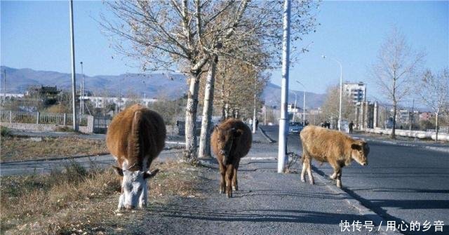 曾经世界第一大国领土曾占世界14,现领土仅原4%还靠中国发展