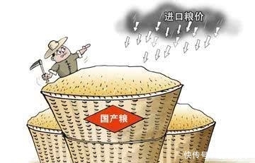  「农民」“中国粮食不够吃，农民不种就麻烦”，袁隆平的话振聋