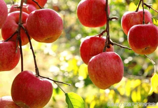 刮油“最狠”的四种食物：图4不仅热量低，而且还可以消耗热量