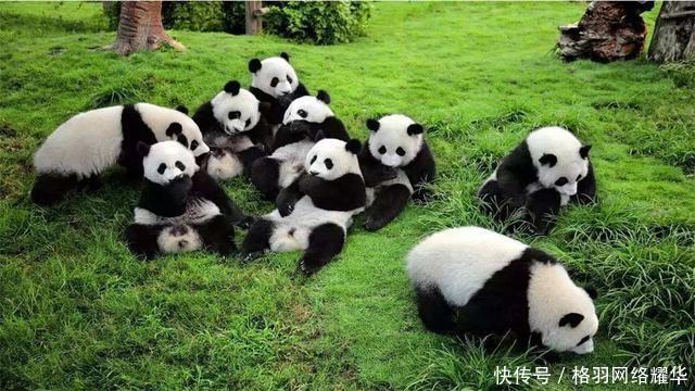  特别行政区@除了香港、澳门，其实我们国家还有一个特别行政区，