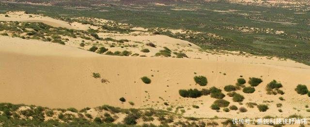 此地或成第1个被中国“消灭”的沙漠，黄河年输沙量减少4亿吨