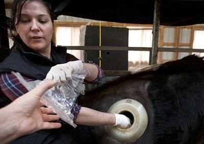 很罕见！中国人到美国农场，竟拍到了这样的画面，多数人没见过！