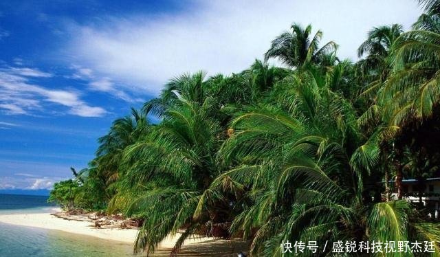 世界上最“悠闲”的国家，总统不用穿西装，而且还在非洲