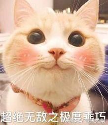 吃虾一定要男人剥震惊全台湾 大S回应剥虾论！再放闪光