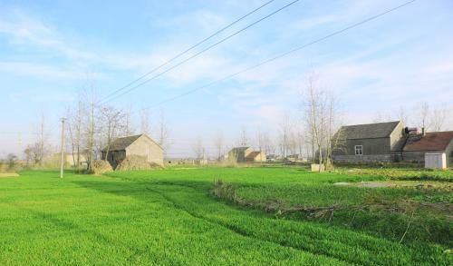 企业退休人员除了养老金, 还有没有别的收入待遇和补贴呢?